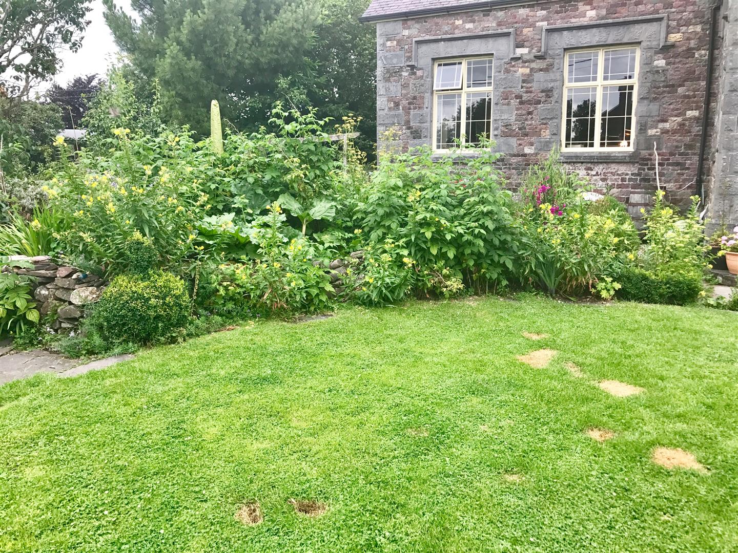 GROUNDS